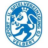 เอสเอสวีจี เวลเบิร์ต